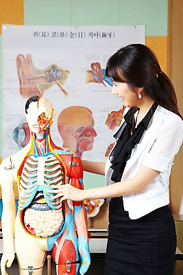 포토 JPG 여자 교육 신체 학교 인체모형 고등학생 수업 알림판 실내 고등학교 한명 미소 웃음 사람 동양인 상반신 20대 성인 스쿨라이프 교사 한국인 과학교육 과학실 여자만 여자한명만 국내포토 직업 1 학생 라이프스타일 과학 청소년 표정 인종 청년 내부 모형 파일형식