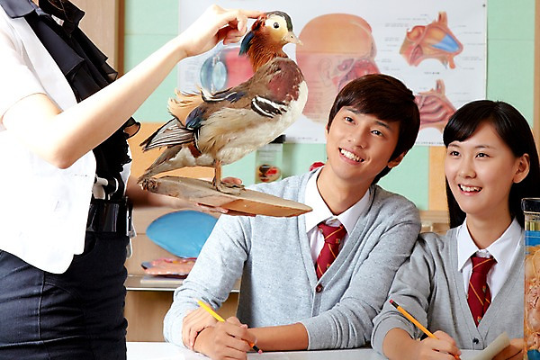 포토 JPG 학생 여학생 여자 교육 남자 교복 남학생 신체 학교 청소년 조류 고등학생 수업 알림판 실내 고등학교 미소 웃음 사람 상반신 성인 세명 필기구 연필 스쿨라이프 교사 한국인 가르침 원앙 카디건 책상 과학교육 과학실 동물모형 시약 박제 국내포토 동물 직업 라이프스타일 옷 과학 가구 문구용품 학용품 표정 동양인 내부 약 모형 외투 파일형식