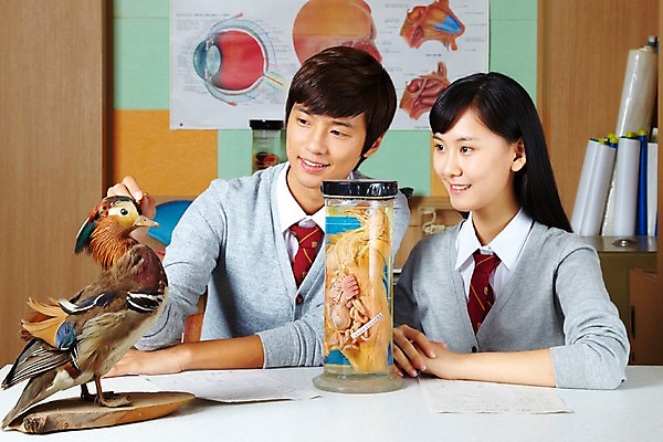 포토 JPG 학생 여학생 여자 교육 남자 교복 남학생 신체 학교 청소년 조류 고등학생 수업 알림판 실내 고등학교 미소 웃음 사람 동양인 상반신 두명 스쿨라이프 한국인 원앙 카디건 책상 보고서 과학교육 과학실 동물모형 박제 실험보고서 십대만 국내포토 동물 라이프스타일 옷 과학 가구 표정 인종 내부 모형 외투 파일형식