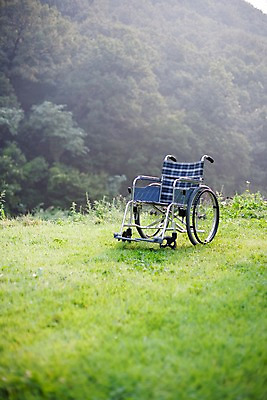 포토 JPG 주간 나무 식물 의학 의료기기 산 잔디 사람없음 야외 의료용품 숲 휠체어 국내포토 자연요소 파일형식