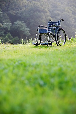 포토 JPG 주간 나무 식물 의학 의료기기 산 잔디 사람없음 야외 의료용품 숲 휠체어 국내포토 자연요소 파일형식