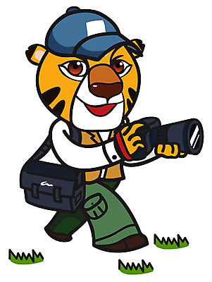 EPS 동물 직업 척추동물 캐릭터 모자 한마리 육지동물 동물캐릭터 가방 일러스트 포유류 직업캐릭터 애니멀프린트 잔디 사람없음 갈색 카메라 촬영 호랑이 기자 사진사 호랑이캐릭터 2010년 경인년 기념사진 일러캐릭터 식물 1 잡화 컬러 전자제품 연도 작가 파일형식 벡터