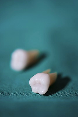 포토 JPG 실내 치과 근접촬영 사람없음 아웃포커스 의료용품 치아 치과용품 국내포토 뷰포인트 의료기기 촬영기법 병원 내부 소화기관 파일형식