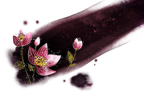 PSD 식물 문양 꽃 여러송이 캘리배경 백그라운드 일러스트 캘리그라피 붓터치 사람없음 가로 공백 번짐 국내일러스트 다수 파일형식 효과