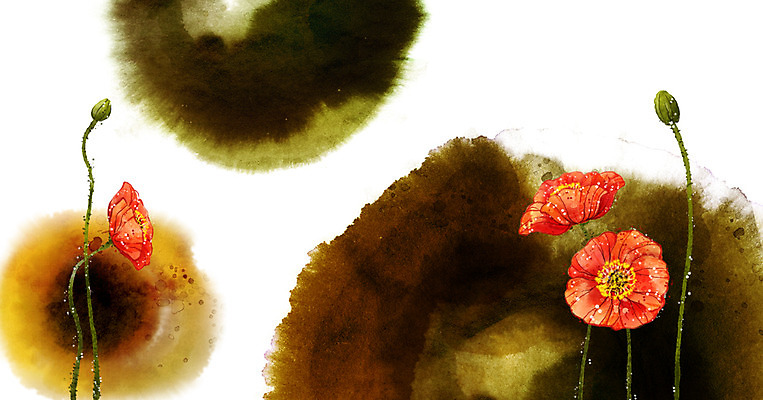 PSD 식물 문양 꽃 컬러 여러송이 캘리배경 백그라운드 일러스트 캘리그라피 붓터치 사람없음 가로 빨간색 공백 번짐 양귀비 국내일러스트 다수 파일형식 효과