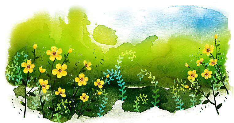 PSD 식물 문양 꽃 줄기 컬러 캘리배경 백그라운드 꽃밭 일러스트 캘리그라피 붓터치 사람없음 가로 노란색 공백 번짐 국내일러스트 파일형식 효과