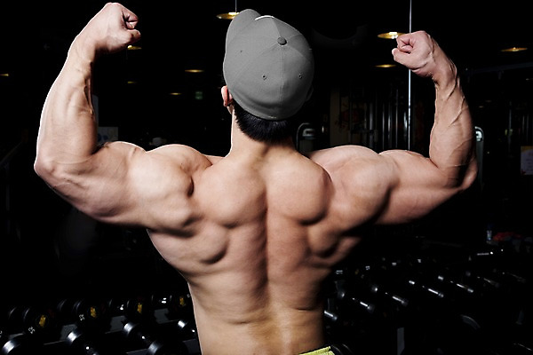 포토 JPG 모자 남자 포즈 근육 실내 건강 한명 사람 동양인 상반신 20대 성인 뒷모습 운동 헬스 아령 헬스장 보디빌딩 보디빌더 진열장 남자만 남자한명만 성인남자만 청년만 청년남자만 청년남자한명만 성인한명만 성인남자한명만 성인만 국내포토 1 잡화 뷰포인트 인종 청년 내부 파일형식