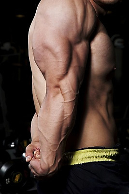 포토 JPG 남자 포즈 바지 하의 근육 실내 건강 한명 사람 동양인 손짓 상반신 20대 성인 옆모습 운동복 운동 헬스 헬스장 보디빌딩 보디빌더 남자만 남자한명만 성인남자만 청년만 청년남자만 청년남자한명만 성인한명만 성인남자한명만 성인만 국내포토 1 옷 뷰포인트 모션 인종 청년 내부 파일형식