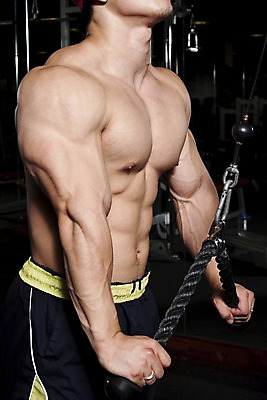 포토 JPG 남자 포즈 바지 하의 근육 실내 건강 한명 사람 동양인 손짓 상반신 20대 성인 운동복 운동 운동기구 헬스 헬스장 웨이트트레이닝 보디빌딩 보디빌더 웨이트기구 랫풀다운 하이랫풀 남자만 남자한명만 성인남자만 청년만 청년남자만 청년남자한명만 성인한명만 성인남자한명만 성인만 국내포토 1 옷 모션 인종 청년 내부 파일형식