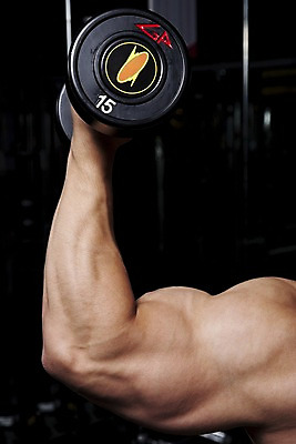 포토 JPG 남자 포즈 바지 하의 근육 실내 건강 사람 동양인 신체부위 운동복 운동 운동기구 헬스 아령 헬스장 웨이트트레이닝 보디빌딩 보디빌더 웨이트기구 팔 남자만 국내포토 옷 인종 내부 파일형식