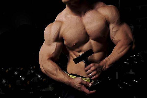 포토 JPG 남자 포즈 바지 하의 근육 실내 건강 한명 사람 동양인 손짓 상반신 20대 성인 운동복 운동 운동기구 헬스 아령 헬스장 웨이트트레이닝 보디빌딩 보디빌더 진열장 웨이트기구 남자만 남자한명만 성인남자만 청년만 청년남자만 청년남자한명만 성인한명만 성인남자한명만 성인만 국내포토 1 옷 모션 인종 청년 내부 파일형식