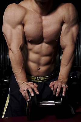 포토 JPG 남자 포즈 바지 하의 근육 실내 건강 한명 사람 동양인 손짓 상반신 20대 성인 운동복 운동 운동기구 헬스 아령 헬스장 웨이트트레이닝 보디빌딩 보디빌더 웨이트기구 남자만 남자한명만 성인남자만 청년만 청년남자만 청년남자한명만 성인한명만 성인남자한명만 성인만 국내포토 1 옷 모션 인종 청년 내부 파일형식