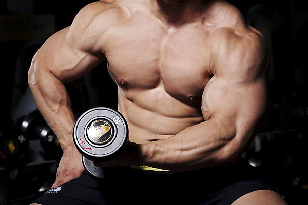 포토 JPG 남자 포즈 바지 하의 근육 실내 건강 한명 사람 앉기 동양인 손짓 상반신 20대 성인 운동복 운동 운동기구 헬스 아령 헬스장 웨이트트레이닝 보디빌딩 보디빌더 진열장 웨이트기구 남자만 남자한명만 성인남자만 청년만 청년남자만 청년남자한명만 성인한명만 성인남자한명만 성인만 국내포토 1 옷 모션 인종 청년 내부 파일형식