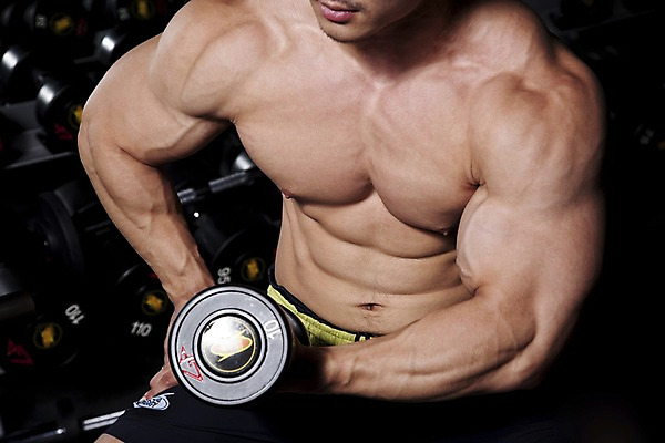 포토 JPG 남자 포즈 바지 하의 근육 실내 건강 한명 사람 앉기 동양인 손짓 상반신 20대 성인 운동복 운동 운동기구 헬스 아령 헬스장 웨이트트레이닝 보디빌딩 보디빌더 진열장 웨이트기구 남자만 남자한명만 성인남자만 청년만 청년남자만 청년남자한명만 성인한명만 성인남자한명만 성인만 국내포토 1 옷 모션 인종 청년 내부 파일형식