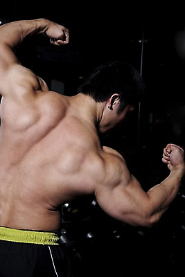 포토 JPG 남자 포즈 바지 하의 근육 실내 건강 한명 사람 동양인 손짓 상반신 20대 성인 뒷모습 운동복 운동 헬스 헬스장 보디빌딩 보디빌더 남자만 남자한명만 성인남자만 청년만 청년남자만 청년남자한명만 성인한명만 성인남자한명만 성인만 국내포토 1 옷 뷰포인트 모션 인종 청년 내부 파일형식