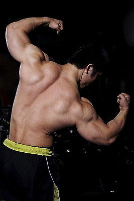 포토 JPG 남자 포즈 바지 하의 근육 실내 건강 한명 사람 동양인 손짓 상반신 20대 성인 뒷모습 운동복 운동 헬스 헬스장 보디빌딩 보디빌더 남자만 남자한명만 성인남자만 청년만 청년남자만 청년남자한명만 성인한명만 성인남자한명만 성인만 국내포토 1 옷 뷰포인트 모션 인종 청년 내부 파일형식