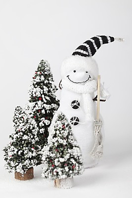 포토 JPG 스튜디오촬영 나무 식물 모자 계절 인형 겨울 자연 눈사람 실내 사람없음 크리스마스트리 모형 목도리 눈 빗자루 오브젝트 국내포토 자연요소 잡화 크리스마스 날씨 내부 청소도구 생태계 파일형식