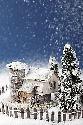 포토 JPG 나무 식물 시설물 계절 현대건축 건축 겨울 자연 주택 사람없음 야외 건물 울타리 크리스마스트리 모형 눈 오브젝트 국내포토 자연요소 건축물 크리스마스 날씨 담장 생태계 파일형식