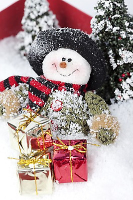 포토 JPG 스튜디오촬영 나무 식물 모자 계절 리본 인형 겨울 자연 눈사람 실내 선물 사람없음 아웃포커스 장식 선물상자 상자 크리스마스트리 모형 목도리 눈 오브젝트 국내포토 자연요소 잡화 크리스마스 날씨 촬영기법 내부 생태계 파일형식