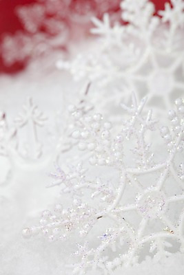 포토 JPG 자연요소 스튜디오촬영 계절 백그라운드 겨울 자연 눈꽃 실내 근접촬영 사람없음 아웃포커스 눈 눈송이 오브젝트 국내포토 뷰포인트 날씨 눈_날씨 촬영기법 내부 생태계 파일형식