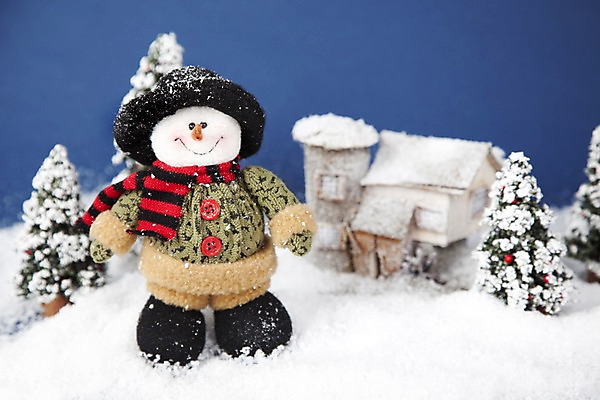 포토 JPG 스튜디오촬영 나무 식물 모자 계절 인형 겨울 자연 눈사람 주택 실내 사람없음 건물 아웃포커스 크리스마스트리 모형 목도리 눈 오브젝트 국내포토 자연요소 건축물 잡화 크리스마스 날씨 촬영기법 내부 생태계 파일형식