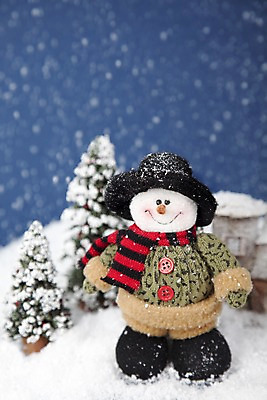 포토 JPG 스튜디오촬영 나무 식물 모자 계절 인형 겨울 자연 눈사람 실내 사람없음 아웃포커스 크리스마스트리 모형 목도리 눈 오브젝트 국내포토 자연요소 잡화 크리스마스 날씨 촬영기법 내부 생태계 파일형식