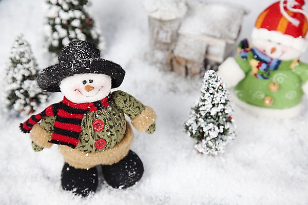 포토 JPG 스튜디오촬영 나무 식물 모자 계절 인형 겨울 자연 눈사람 주택 실내 사람없음 건물 아웃포커스 크리스마스트리 모형 목도리 눈 오브젝트 국내포토 자연요소 건축물 잡화 크리스마스 날씨 촬영기법 내부 생태계 파일형식