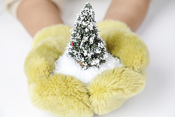 포토 JPG 스튜디오촬영 나무 식물 손 계절 장갑 겨울 자연 실내 손짓 신체부위 크리스마스트리 모형 양손 오브젝트 털장갑 국내포토 잡화 크리스마스 모션 사람 내부 생태계 파일형식