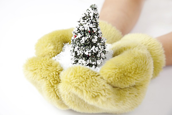 포토 JPG 스튜디오촬영 나무 식물 손 계절 장갑 겨울 자연 실내 손짓 신체부위 크리스마스트리 모형 양손 오브젝트 털장갑 국내포토 잡화 크리스마스 모션 사람 내부 생태계 파일형식