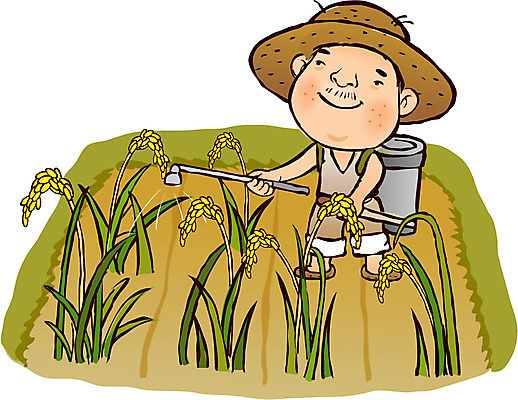 EPS 식물 모자 계절 남자 농업 일러스트 논 한명 사람 20대 성인 야외 여름 벼 농촌 시골 농부 절기 밀짚모자 농어촌캐릭터 입하 농약 농작 남자만 남자한명만 성인남자만 청년만 청년남자만 청년남자한명만 성인한명만 성인남자한명만 성인만 국내일러스트 직업 모자_잡화 1 잡화 산업 곡류 청년 산업캐릭터 파일형식 벡터