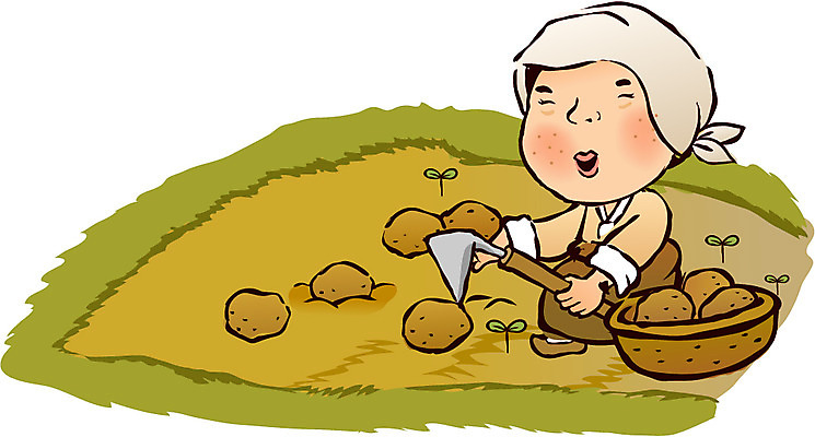 EPS 식물 계절 여자 40대 중년 50대 밭 농업 채소 일러스트 감자 한명 사람 성인 야외 여름 농작물 바구니 새싹 수확 농촌 시골 농부 전통의상 한복 농기구 절기 짚신 농어촌캐릭터 감자캐기 하지 호미 여자만 여자한명만 성인여자만 성인한명만 성인여자한명만 중년만 중년여자만 중년여자한명만 성인만 국내일러스트 직업 1 한국전통 전통 산업 신발 모션 전통소품 산업캐릭터 파일형식 벡터