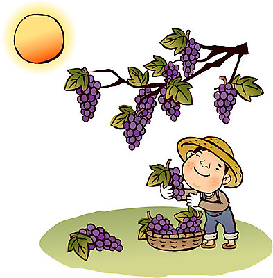 EPS 식물 계절 열매 남자 장갑 농업 과일 일러스트 포도 한명 사람 20대 성인 야외 태양 바구니 수확 가을 농촌 시골 농부 절기 멜빵바지 밀짚모자 포도나무 농어촌캐릭터 남자만 남자한명만 성인남자만 청년만 청년남자만 청년남자한명만 성인한명만 성인남자한명만 성인만 국내일러스트 자연요소 직업 모자_잡화 1 잡화 산업 바지 청년 과일나무 멜빵 산업캐릭터 파일형식 벡터