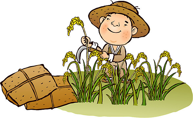 EPS 식물 계절 남자 농업 일러스트 논 한명 사람 20대 성인 야외 농작물 수확 추수 벼 쌀 가을 농촌 시골 농부 전통의상 한복 농기구 절기 짚신 농어촌캐릭터 낫 쌀가마 벼베기 한로 남자만 남자한명만 성인남자만 청년만 청년남자만 청년남자한명만 성인한명만 성인남자한명만 성인만 국내일러스트 직업 1 한국전통 전통 산업 신발 곡류 전통소품 청년 산업캐릭터 파일형식 벡터