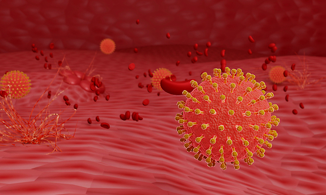 포토 JPG 해외이미지 모델 과학 백그라운드 컨셉 추상 생물 세포 건강 사람없음 그래픽 약 3D 건강관리 고통 열 실험실 바이러스 질병 위험 생물학 만들기 감염 전염 미생물 암 박테리아 단백질 백신 예방접종 인플루엔자 전염병 해외202008 해외포토 교육 감정 무늬 의학 모션 실험 관리 디지털합성 영양소 접종 파일형식