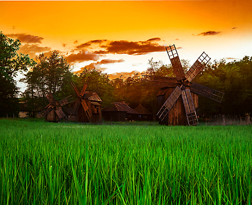포토 JPG 해외이미지 오렌지 하늘 바람 함께함 풍경 해외202008 해외포토 자연요소 컨셉 과일 날씨 파일형식