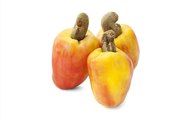 포토 JPG 해외이미지 음식 잎 농업 채소 과일 자연 건강 요리 씨앗 사람없음 야외 빨간색 세로 약 농장 노란색 쌓기 사진촬영 미국 견과류 수확 신선 그룹 시장 사과 농부 다발 브라질 남쪽 내추럴 밭일 숙성 캐슈넛 브라질사람 해외202008 해외포토 식물 직업 산업 컬러 북아메리카 의학 모션 촬영 남아메리카 방향 생태계 파일형식