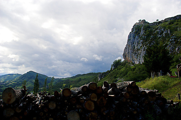 포토 JPG 해외이미지 유럽 여행 밭 자연 휴가 풍경 사람없음 야외 초록색 쌓기 프랑스 시골 통나무 지역 남쪽 프랑스어 전경 해외202008 해외포토 나무 문자 나라 컬러 농업 모션 방향 생태계 파일형식 탑뷰