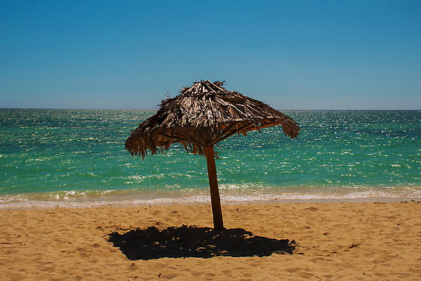 포토 JPG 해외이미지 나무 구름 스포츠 바다 섬 백그라운드 우산 자연 열대 사람없음 물 파란색 노란색 흰색 발리 인도네시아 쿠바 몰디브 카리브해 공화국 바하마 이국적 터키석 파라다이스 해외202008 해외포토 자연요소 식물 나라 아시아 컬러 중앙아메리카 보석 생태계 파일형식