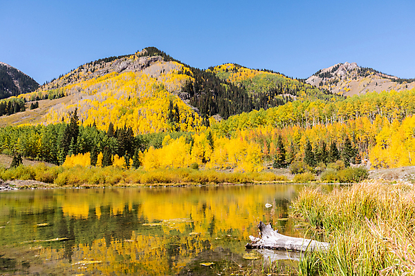 포토 JPG 해외이미지 나무 구름 계절 잎 오렌지 하늘 날씨 산 풍경 경사 사람없음 목재 빨간색 초록색 파란색 컬러풀 태양 노란색 가을 흰색 시골 소나무 황금 씻기 은색 숲 언덕 먼지 나무껍질 드라마 멀리 통과 콜로라도 화강암 해외202008 해외포토 자연요소 식물 컬러 과일 재료 미국 청결 껍질 암석 파일형식