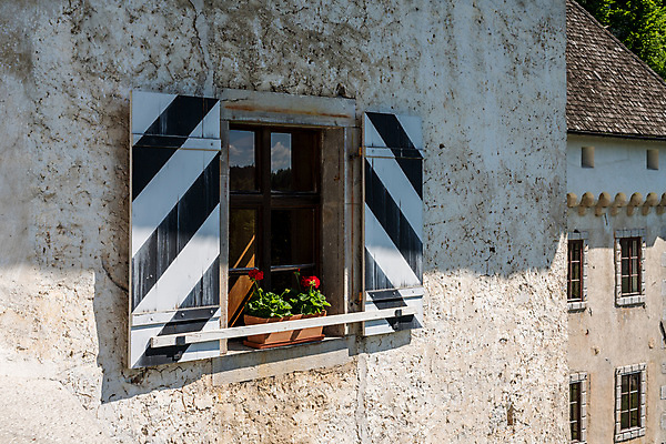 포토 JPG 해외이미지 산 동굴 A 슬로베니아 해외202008 해외포토 알파벳 유럽 파일형식