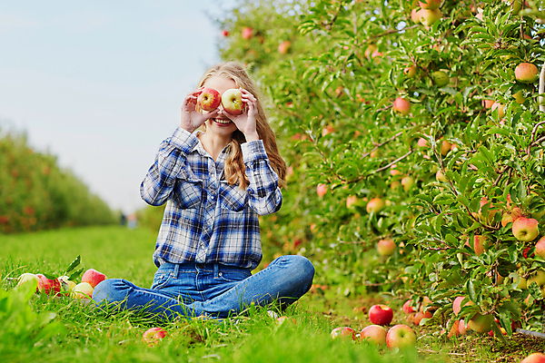 포토 JPG 해외이미지 나무 라이프스타일 계절 유럽 음식 농업 과일 자연 건강 한명 미소 사람 성인 목재 10대 빨간색 여름 상자 금발 농장 바구니 정원 수확 가을 나뭇가지 시골 신선 맛 사과 농부 나무상자 과수원 수집 유기농 생태계 원예 날것 긍정 숙성 채식주의자 해외202008 해외포토 식물 직업 1 헤어스타일 웰빙 나라 산업 컬러 컨셉 재료 청소년 표정 취미 생활 채식 파일형식