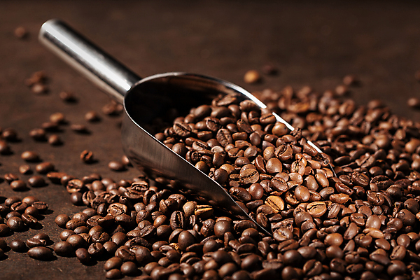 포토 JPG 해외이미지 커피 음료 음식 백그라운드 농업 재료 탁자 콩 씨앗 사람없음 목재 갈색 카페 에너지 시골 닫기 맛 낟알 굽기 국자 향기 냄새 아로마 향 카페테리아 에스프레소 모카 밭일 아라비카 카페인 많음 카피스페이스 해외202008 해외포토 나무 식물 산업 컬러 가구 컨셉 모션 주방용품 곡류 상점 공백 구이 파일형식