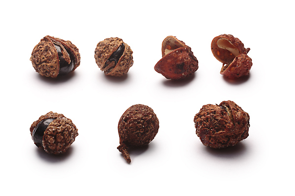 포토 JPG 해외이미지 음식 채소 과일 자연 건조 씨앗 사람없음 세트 중국 껍질 흰색 뜨거움 고수 맛 싱글 유기농 날것 후추 조립 고립 숙성 식용 재 혼자 해외202008 해외포토 식물 웰빙 아시아 컬러 컨셉 향신료 생태계 파일형식