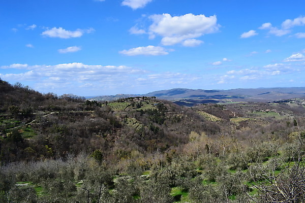 포토 JPG 해외이미지 도시 센터 타운 수녀원 옛날 토스카나 해외202008 해외포토 이탈리아 파일형식