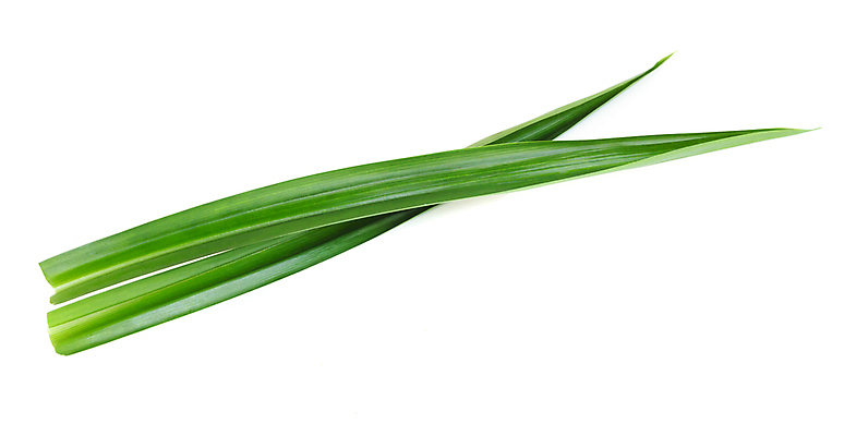 포토 JPG 해외이미지 식물 아시아 음식 백그라운드 잎 재료 태국 건강 요리 사람없음 초록색 흰색 신선 허브 아로마 내추럴 고립 해외202008 해외포토 나라 컬러 파일형식