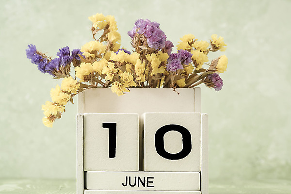 포토 JPG 해외이미지 템플릿 계절 꽃 꽃다발 백그라운드 컨셉 탁자 사람없음 목재 초록색 숫자 노란색 다이어리 보라색 봄 블록 수확 달력 흰색 시간 10 날짜 계획 6월 연도 큐브 오브젝트 질감 복고 월 옛날 오늘 조언 카피스페이스 해외202008 해외포토 나무 식물 문자 컬러 가구 농업 재료 사무용품 공백 파일형식