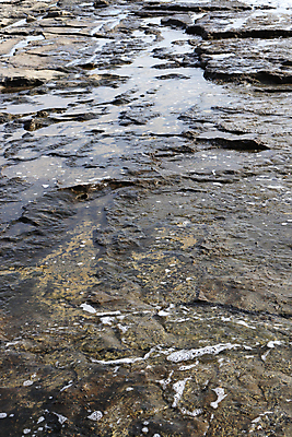 포토 JPG 해외이미지 모래 파도 바다 여행 백그라운드 자연 풍경 해변 사람없음 야외 물 여름 빛 모래사장 햇빛 젖음 바위 질감 칠면조 내추럴 이국적 해외202008 해외포토 자연요소 계절 조류 태양 돌_바위 생태계 파일형식