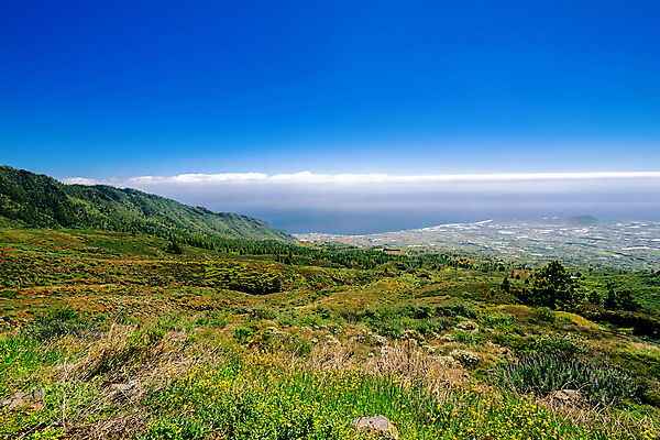 포토 JPG 해외이미지 식물 구름 섬 백그라운드 밭 아프리카 자연 하늘 산 안테나 파노라마 풍경 사람없음 야외 초록색 여름 계곡 하이킹 시골 스페인 고도 대서양 해외202008 해외포토 자연요소 계절 유럽 나라 바다 컬러 농업 통신 레저 촬영기법 생태계 파일형식