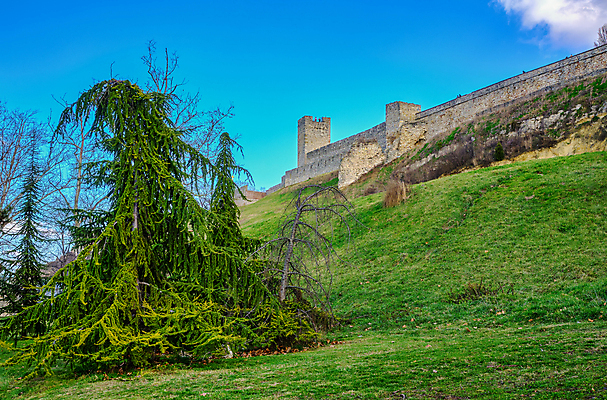 포토 JPG 해외이미지 공원 성 역사 세르비아 해외202008 해외포토 건축물 공공시설 파일형식