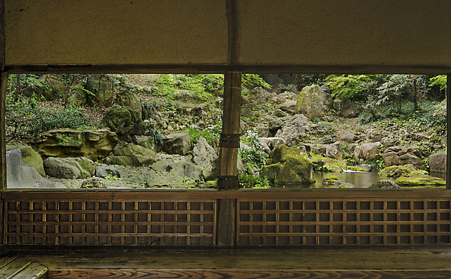 포토 JPG 해외이미지 나무 식물 구름 계절 공원 꽃잎 꽃 선 분홍색 백그라운드 잎 자연 하늘 이끼 사람없음 야외 파란색 컬러풀 정원 일본 봄 폭포 흰색 나뭇가지 신선 화려 도쿄 붓꽃 내추럴 창백 방법 해외202008 해외포토 자연요소 공공시설 아시아 컬러 컨셉 생태계 파일형식